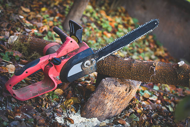 Best Stump Grinding and Removal  in Leetsdale, PA